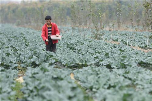 澳门王中王100期期准，理论解答解释落实_网页版29.95.23