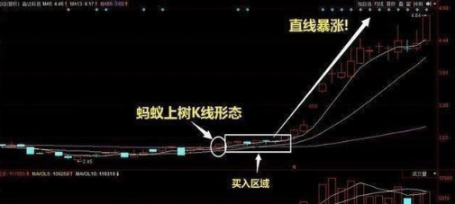 今日260只个股突破五日均线——市场走势深度解析