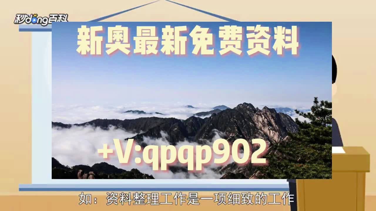 2024澳门资料大全正版资料免费，实践解答解释落实_V版44.95.91