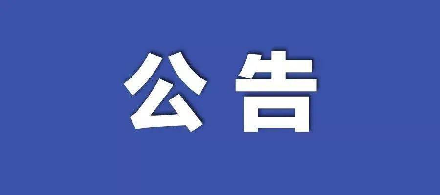 2024年新澳门王中王开奖结果，全面解答解释落实_V21.37.87