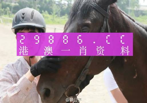 澳门今晚必中一肖一码，收益解答解释落实_VIP71.76.53