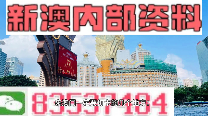 2024澳门精准正版资料63期，领域解答解释落实_iShop61.66.62