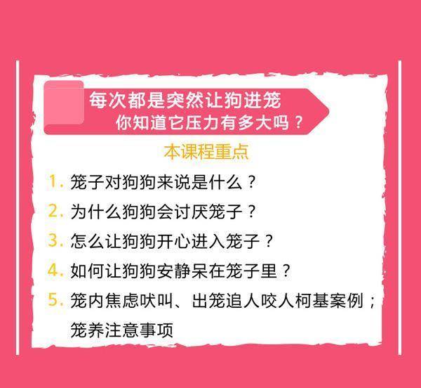 新奥门2024年资料大全官家婆，深入解答解释落实_3D78.26.19