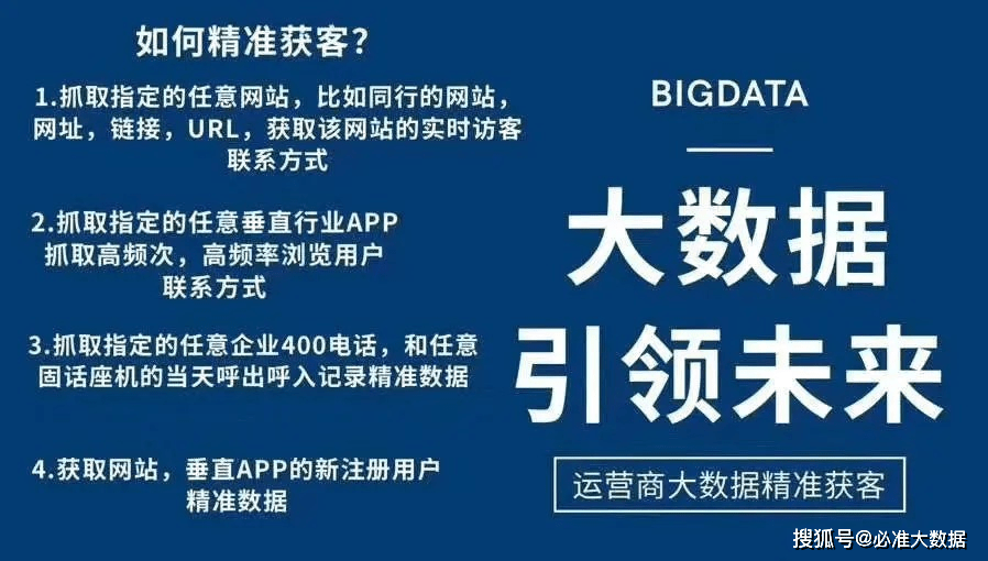 2024年澳门精准资料大全，深度解答解释落实_The31.72.87