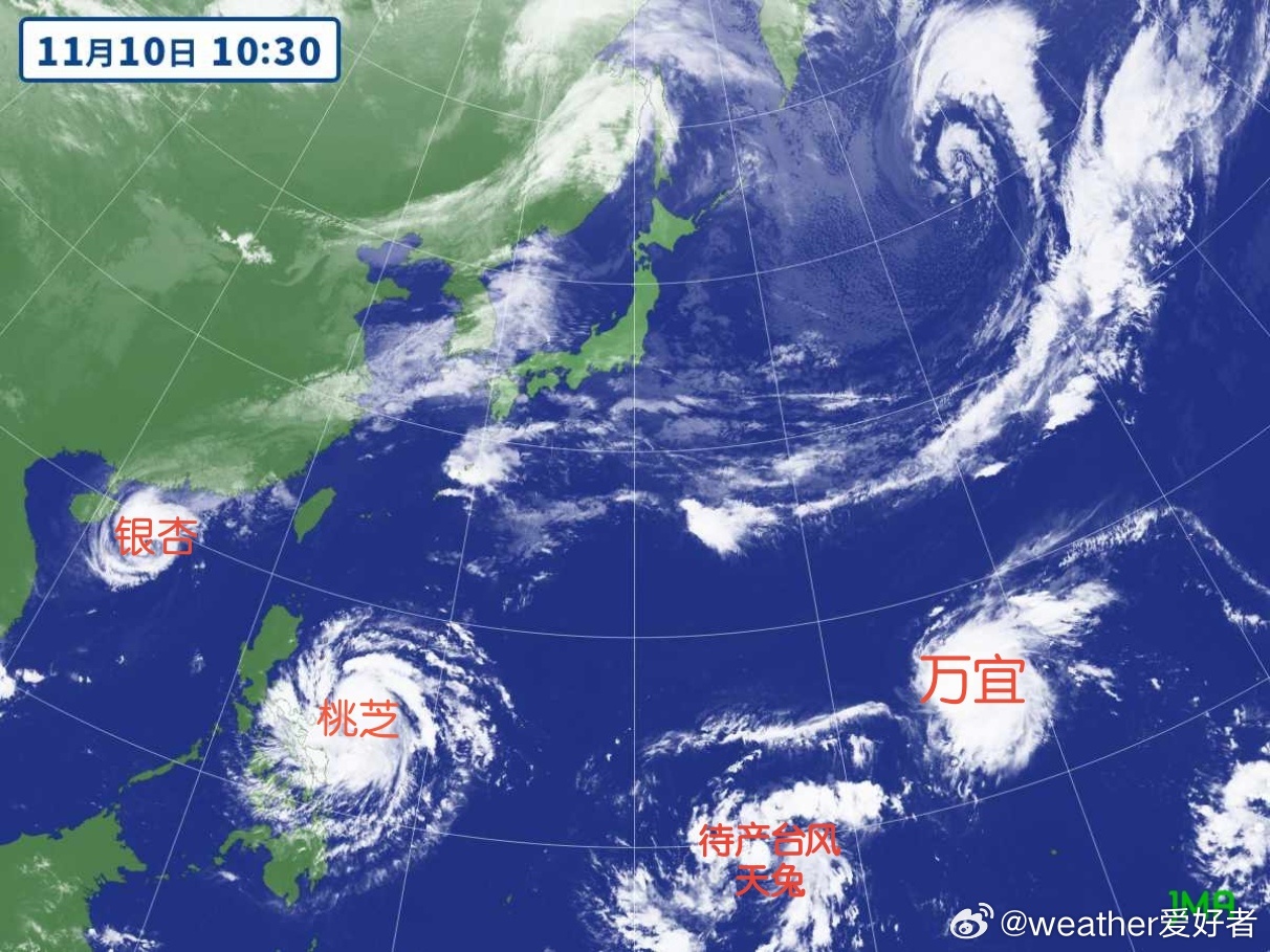 第25号台风天兔生成，11月四台共舞现象反常吗？气象专家解读其背后原因与影响