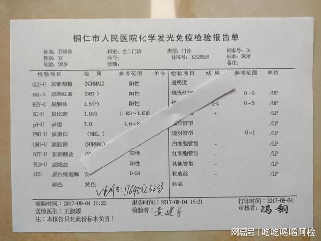 厦门2024年度城市体检报告出炉，全面解读城市健康状况与发展趋势