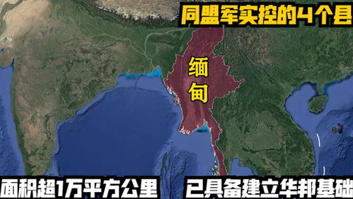 埃及总统谈国际秩序与领土完整，对巴勒斯坦和黎巴嫩的领土侵犯不可接受